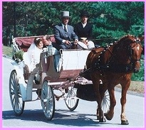 The Utmost in Luxury and Romance